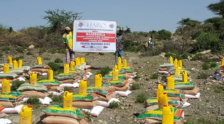 Rows of rice sacks and cooking oil laid out under a HARO banner for the Awdal cyclone relief distribution, 2018